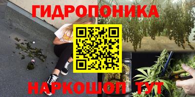 прущая мука Будённовск